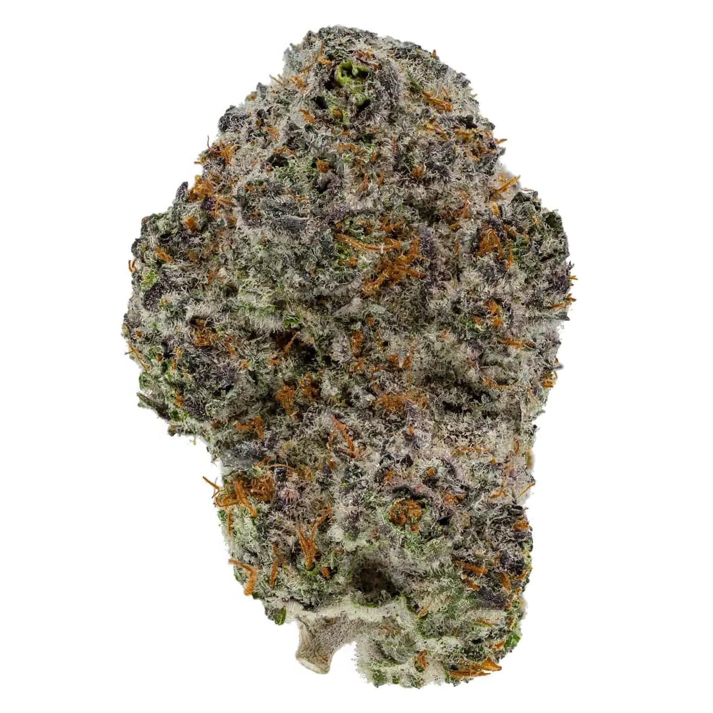 PURPLE CRACK