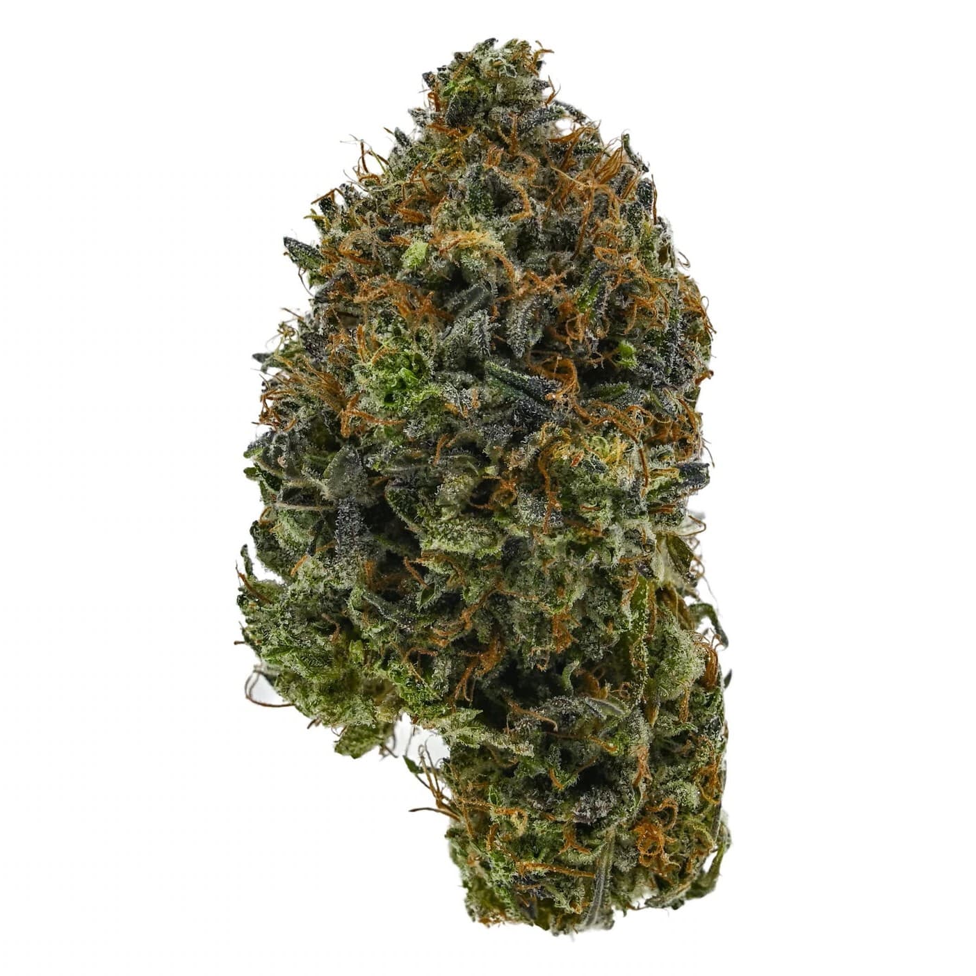 EL CHAPO OG