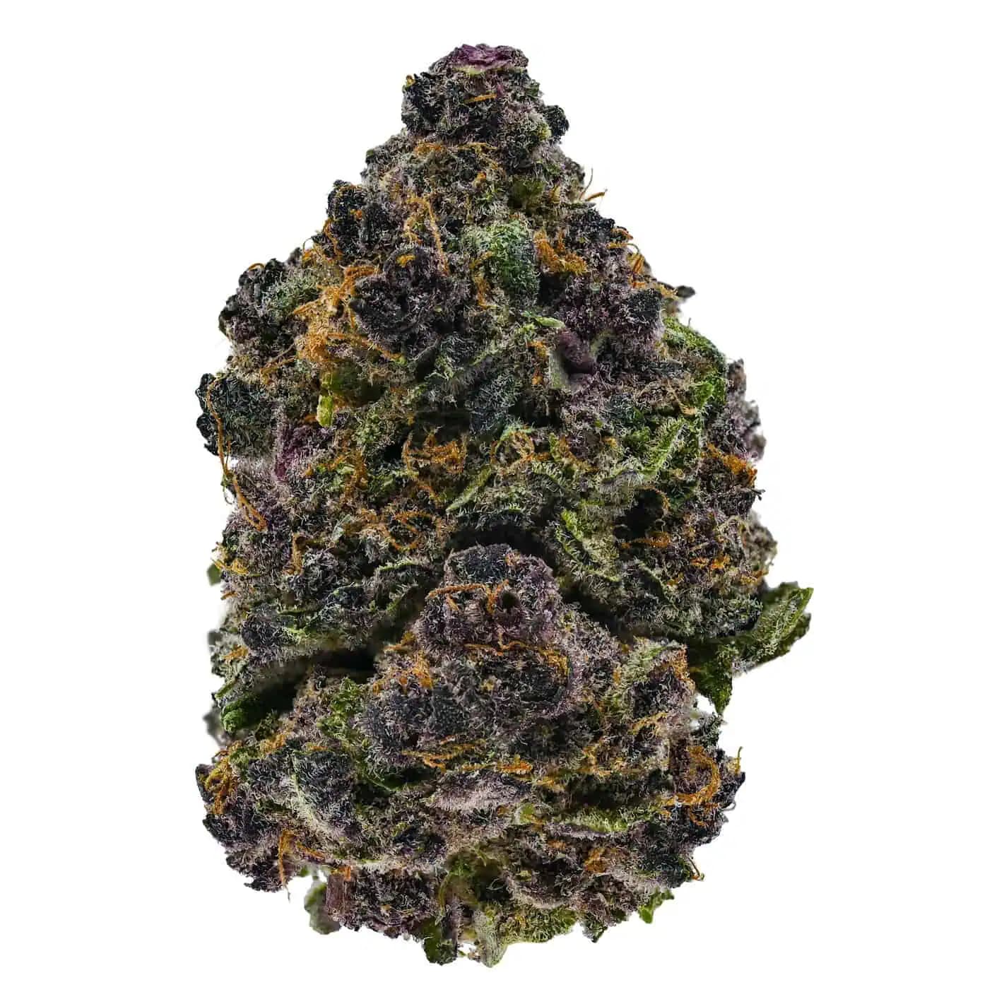 Dark Sinatra