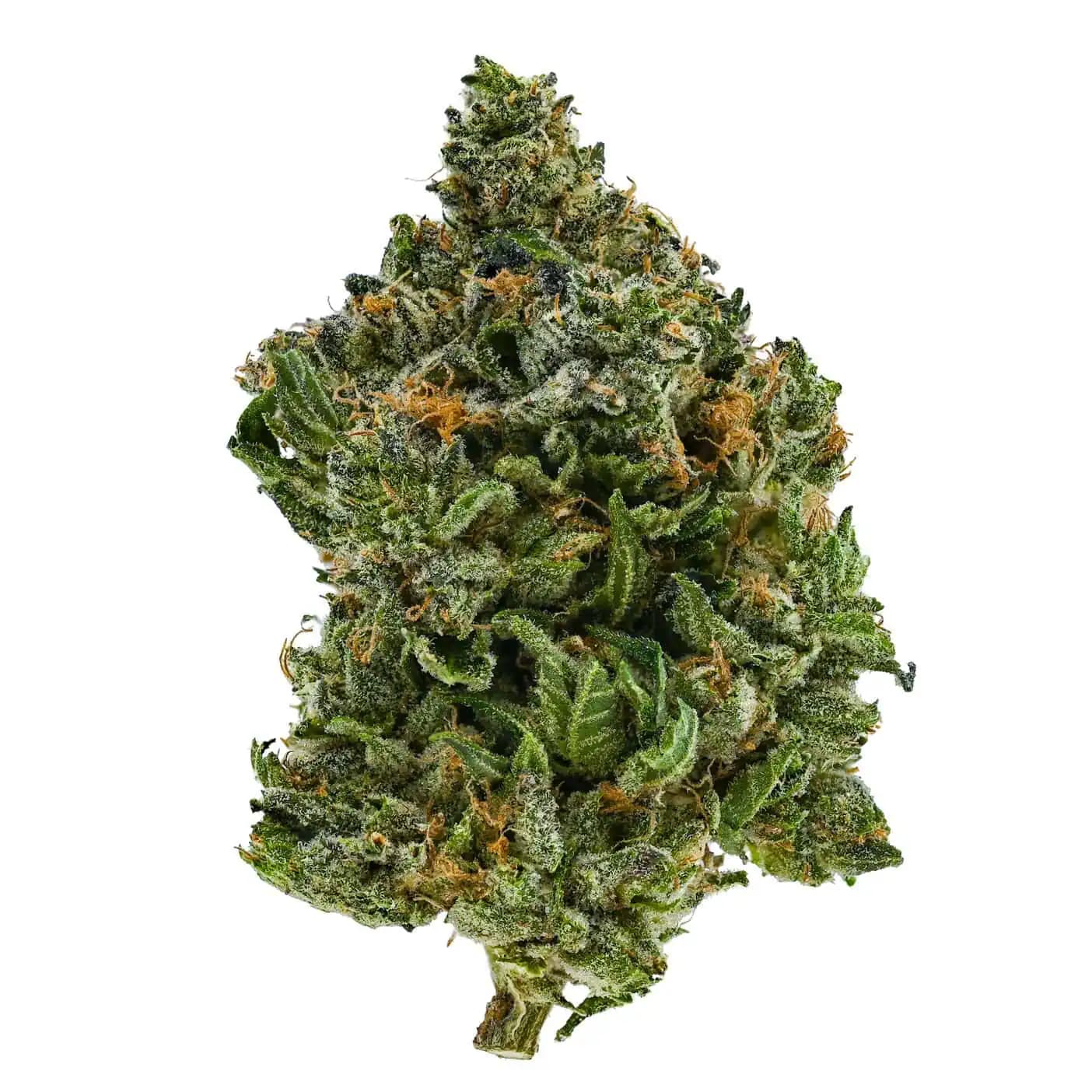 Jet Fuel