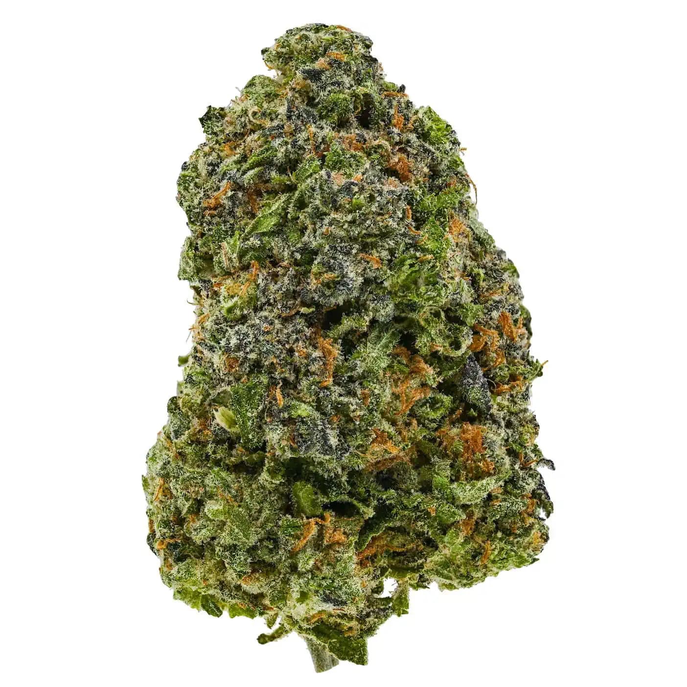 Afghani Pink
