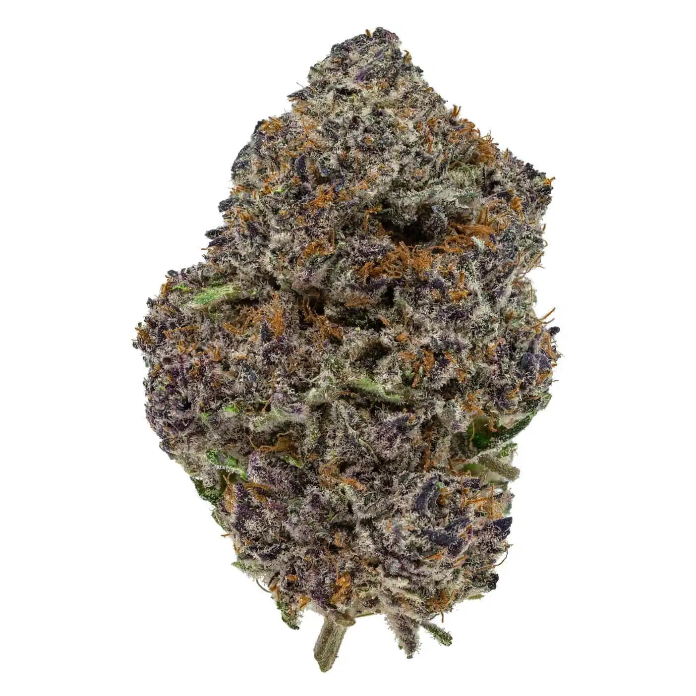 Ayahuasca Purple