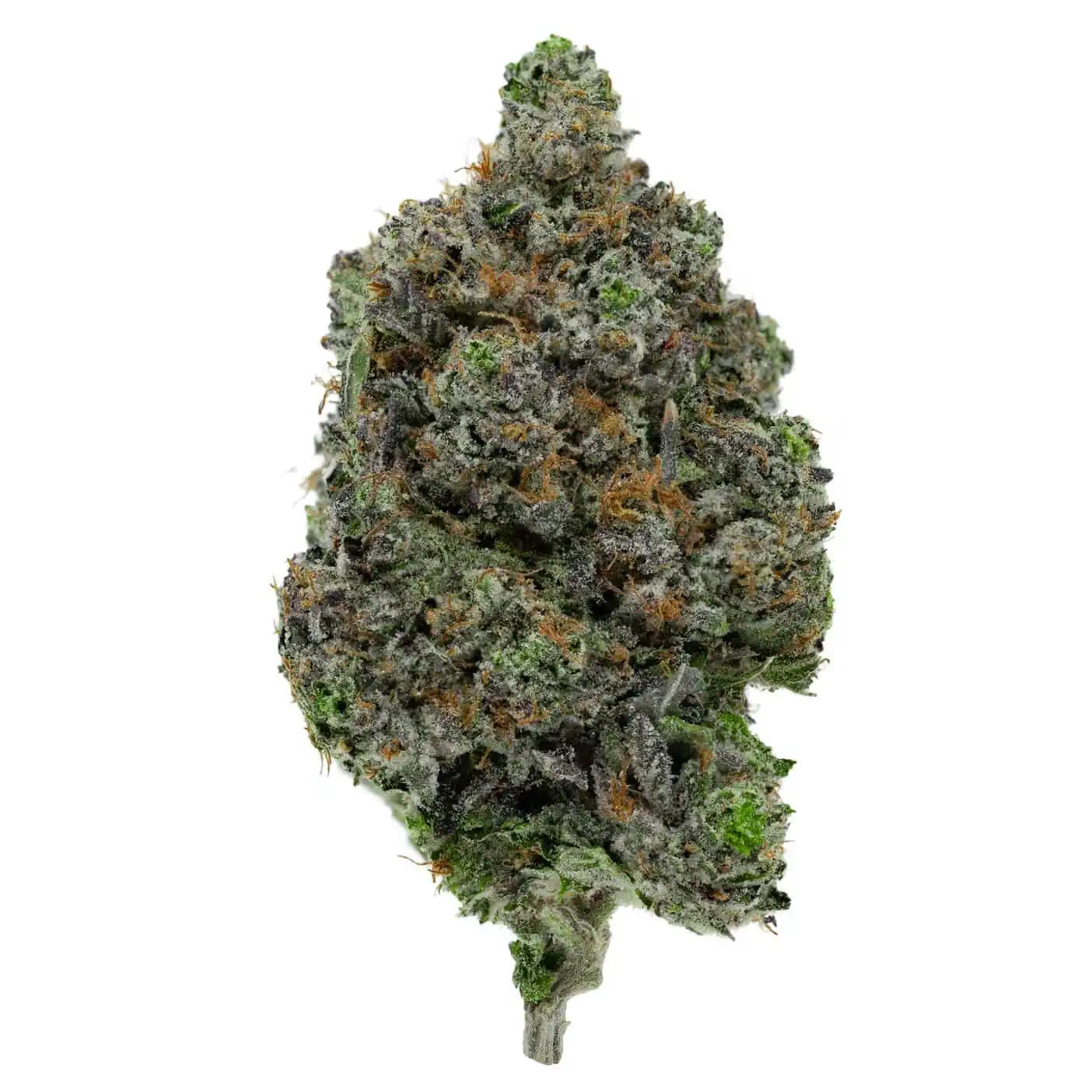 DIOR PINK KUSH