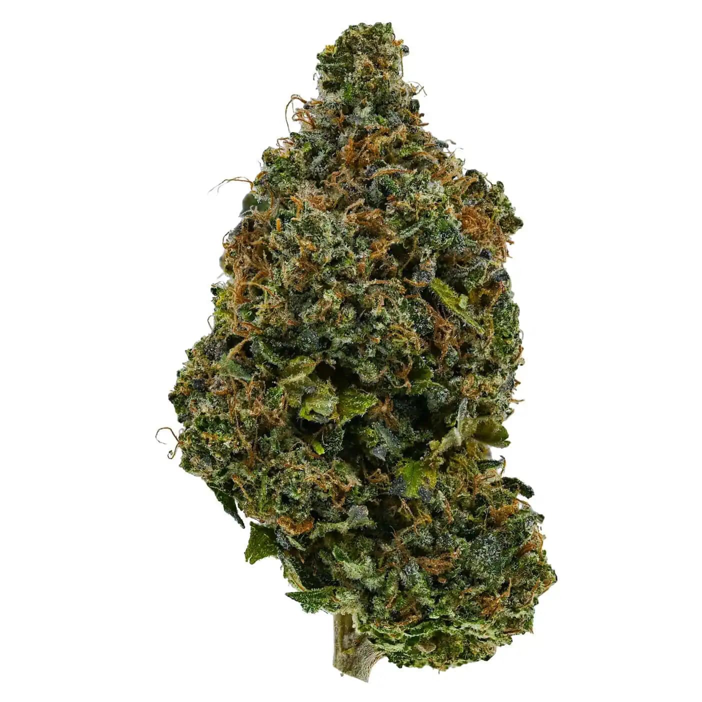 Ace Killer OG