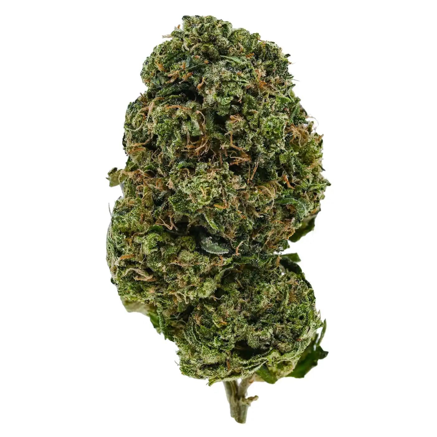 Violator Kush