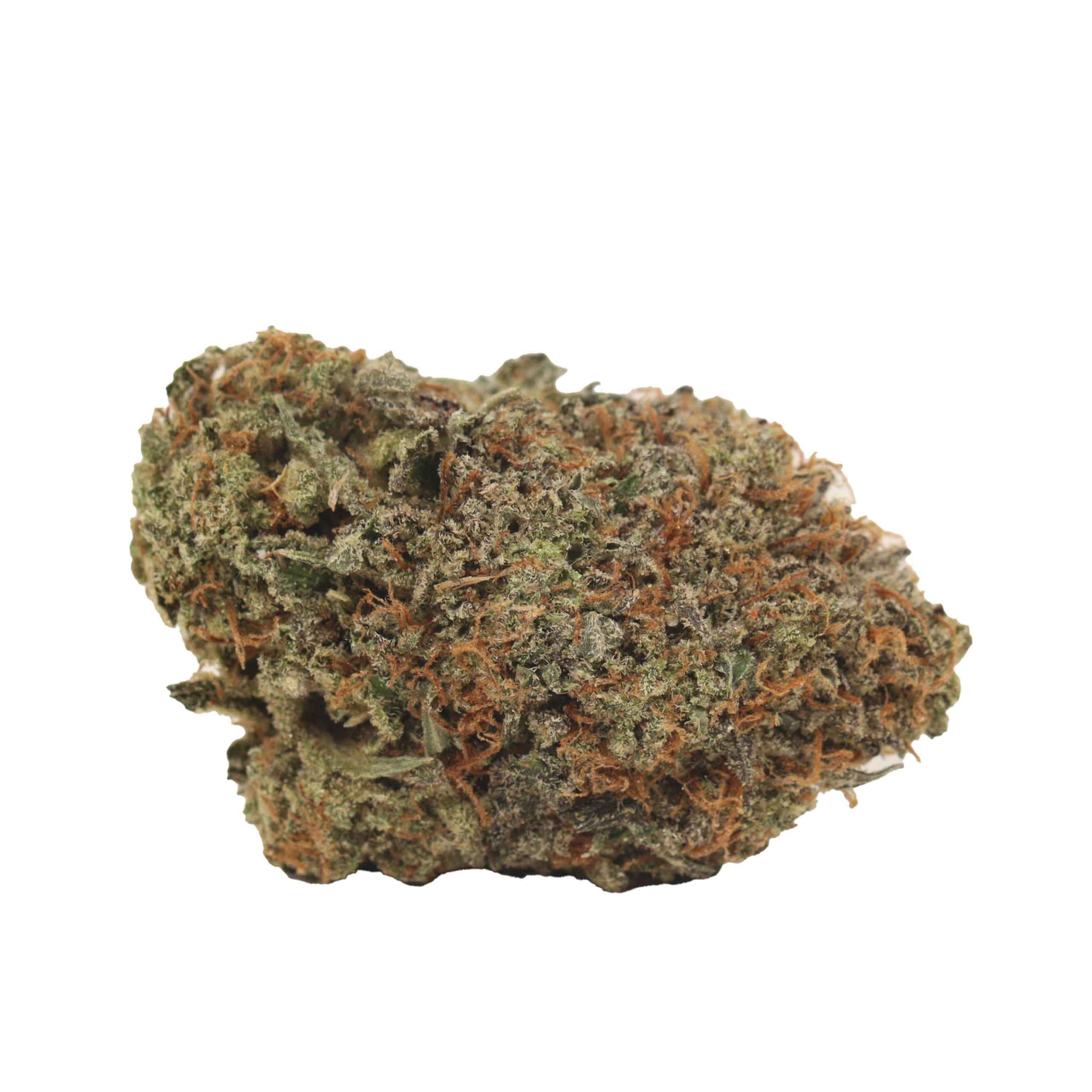 PURPLE HAZE