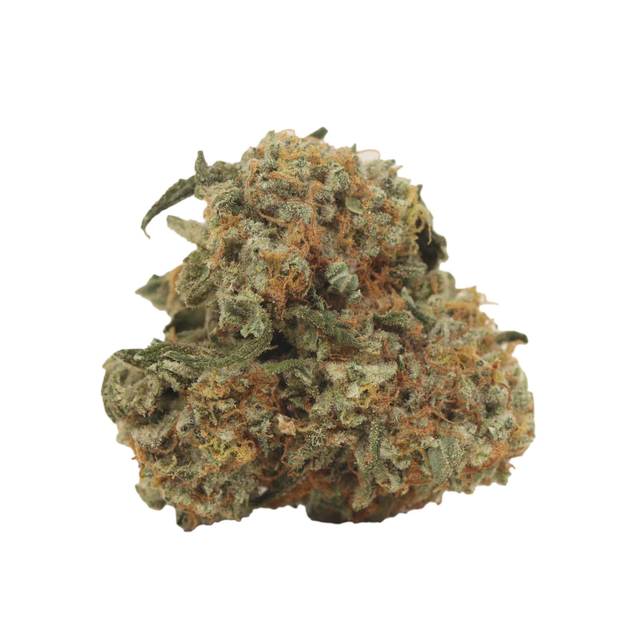JACK HERER