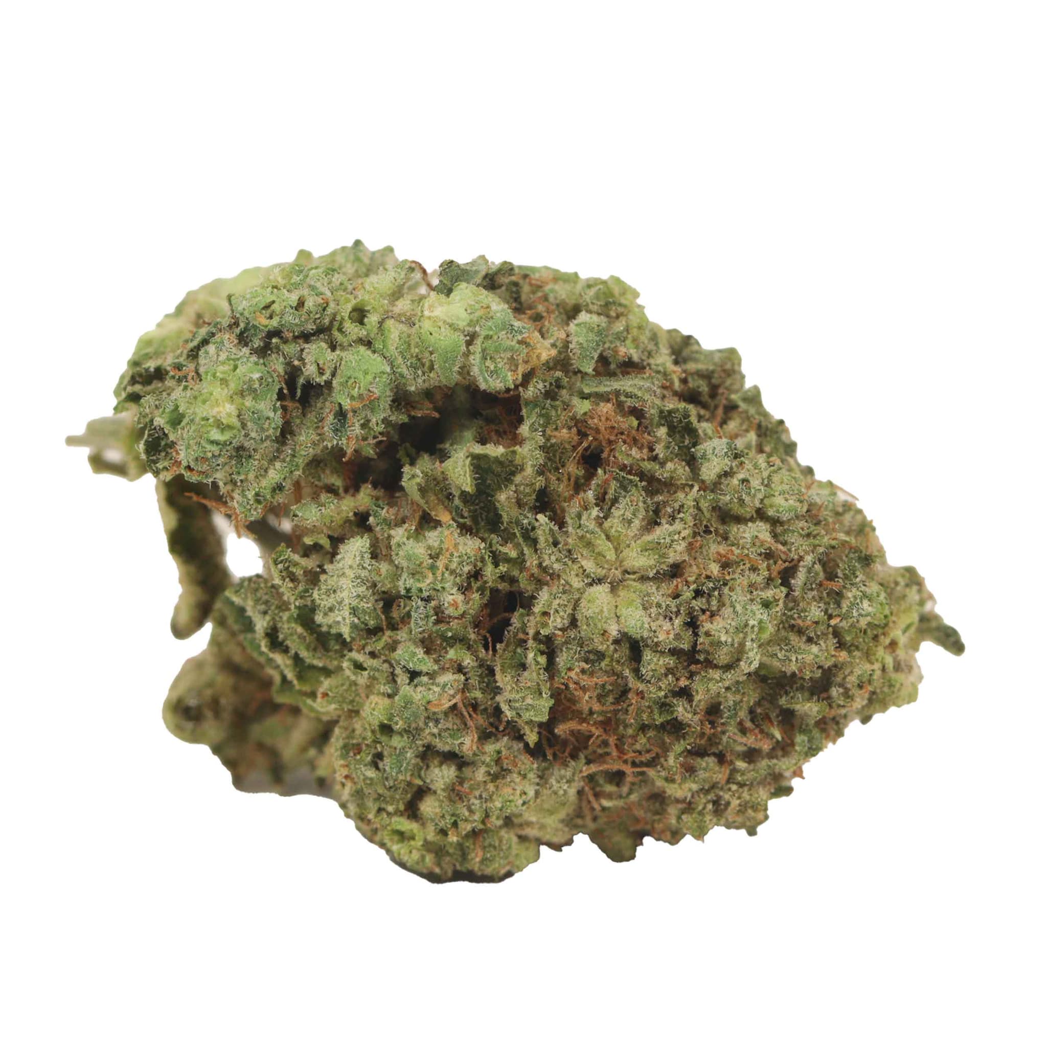MASTER KUSH
