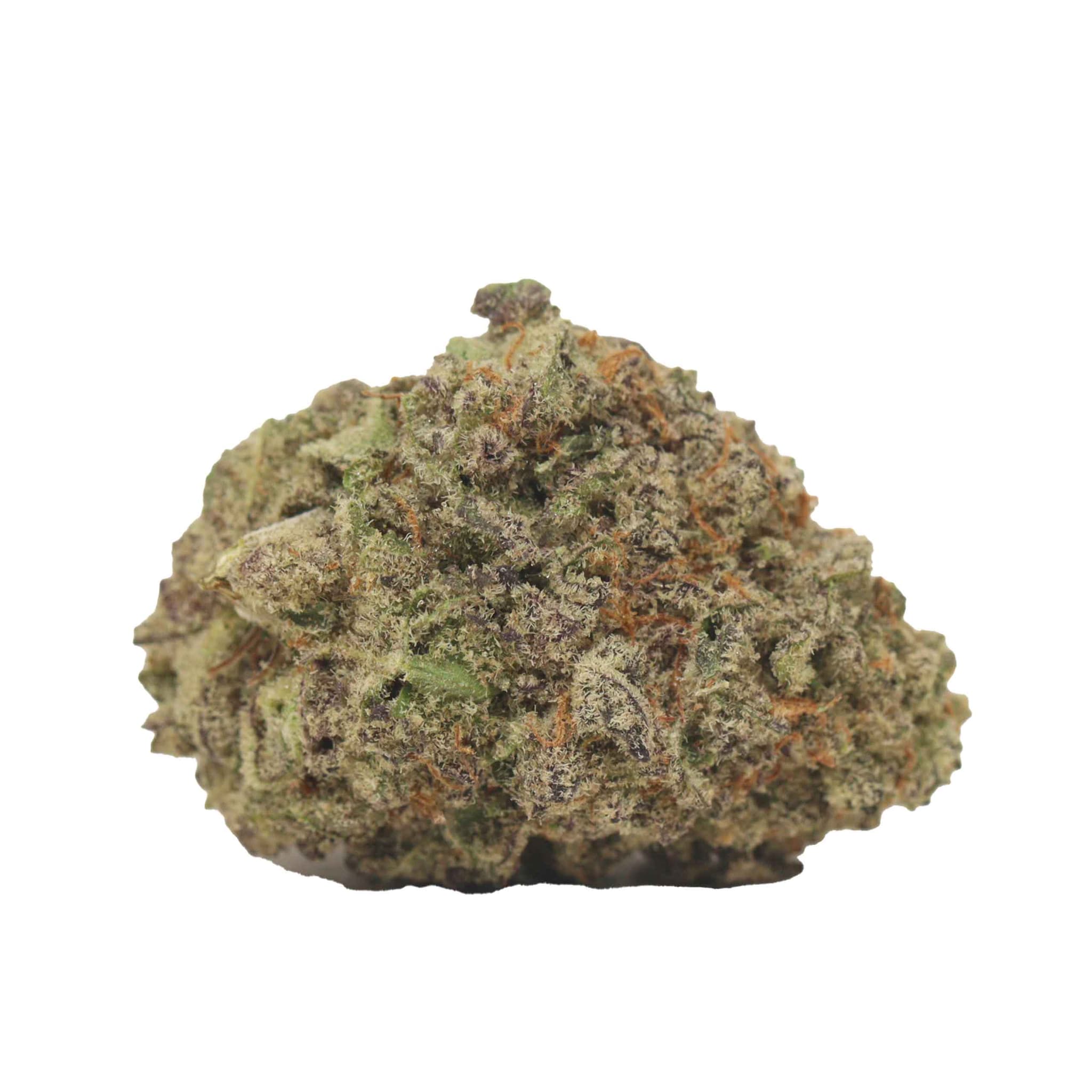 MK ULTRA