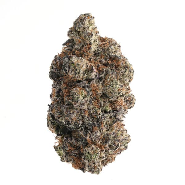 GORILLA GLUE #4