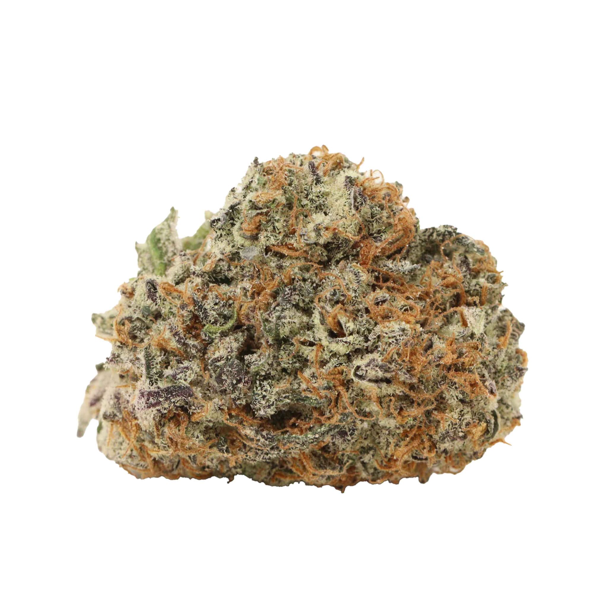 NORTHERN LIGHTS