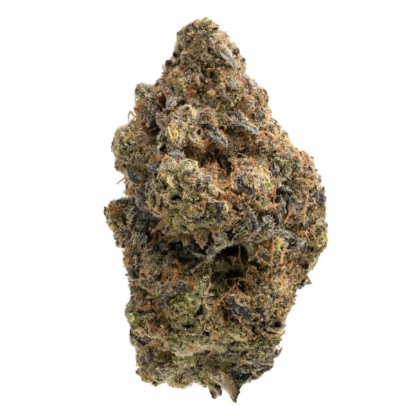 PURPLE TANGIE
