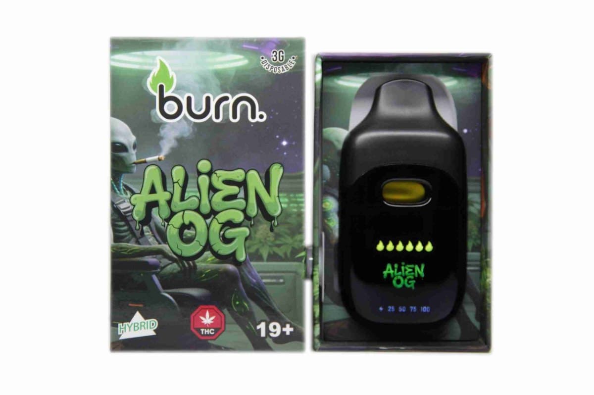 Burn Disposable Vape Pen – 3g